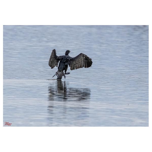 PHOTO84, CLUB, 84 , LUBERON